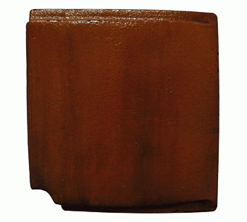 REPLACEMENT BACK DOOR FOR DIG100XS-BR