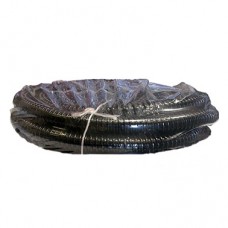 Vacuum Replacement Hose