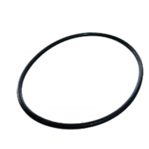 Cyclone Pump O-ring