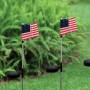 Solar USA Flag Stake with White LED Lights