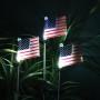 Solar USA Flag Stake with White LED Lights