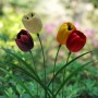 Solar Tulip Garden Stake