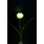 Solar Dhalia Garden Stake