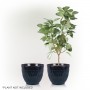 BLUE STONE-LOOK DIAMOND DESIGN PLANTER W/DRAINAGE-SET OF 2 