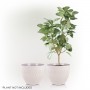 WHITE STONE-LOOK DIAMOND DESIGN PLANTER W/DRAINAGE-SET OF 2 