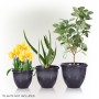 GRAY VASE PLANTER - SET OF 3 