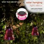 SOLAR PINK LED WASP TRAP - SET OF 2