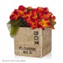 WOOD-LIKE SQUARE FLOWER BOX POT PLANTER