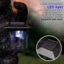 15" Solar Couple of Bears with Lantern and Welcome Sign