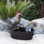 Rustic Metal Rooster with Moving Beak Fountain