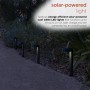 Alpine Corporation Solar-Powered Black Abstract Pathway Lights, 4-Piece