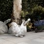 White and Gray Rooster Statue
