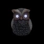 10" Solar Owl Statue