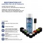 ALPINE TOUCH UP PAINT AND FOUNTAIN RESTORATION KIT