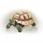 Alpine 9" Tall Tortoise Statue