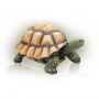 Alpine 9" Tall Tortoise Statue