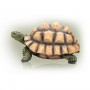 Alpine 9" Tall Tortoise Statue