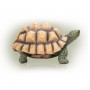 Alpine 9" Tall Tortoise Statue