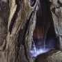 Grand 52" Tall Rainforest Forest Floor Fountain w/ LED Lights