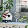 Alpine Corporation 18" Tall Outdoor Patriotic Rooster Vane Top Birdhouse and Perch, Multicolor